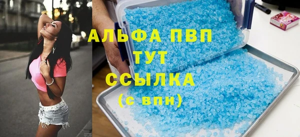a pvp Новозыбков