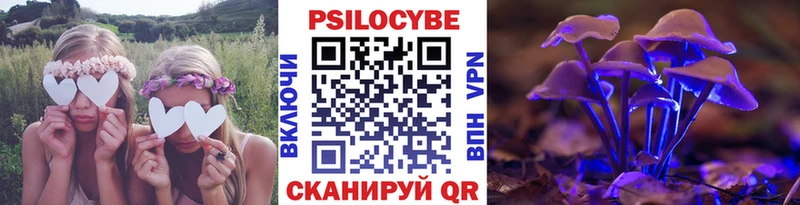 Псилоцибиновые грибы мухоморы  купить закладку  Санкт-Петербург 