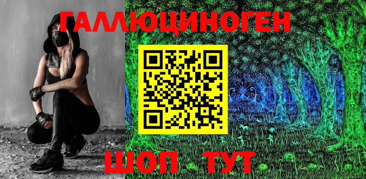 Псилоцибиновые грибы мицелий Санкт-Петербург