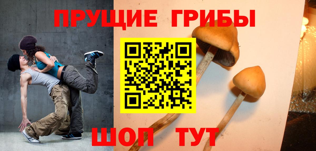 Галлюциногенные грибы прущие грибы  Вход с VPN  Санкт-Петербург 