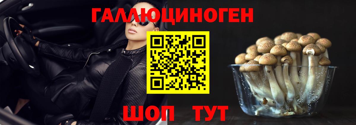 Галлюциногенные грибы мицелий  купить наркотик  Санкт-Петербург 